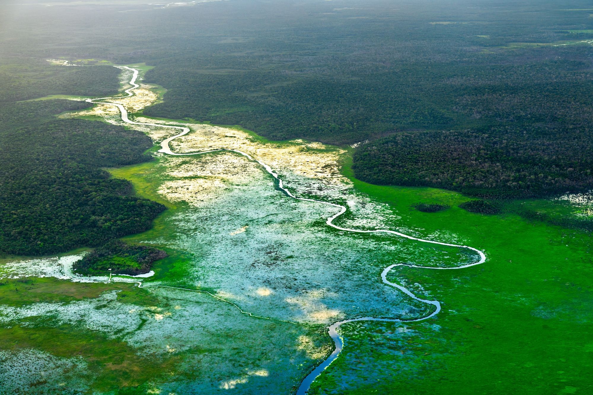 Viaggio via terra in Guyana dalla costa alla foresta pluviale