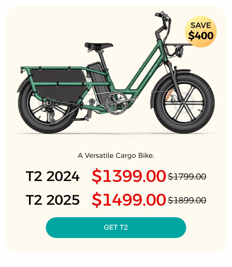 T2