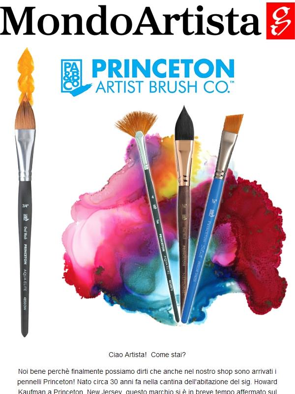 🆕NOVITÀ!🆕 Scopri i pennelli Princeton!