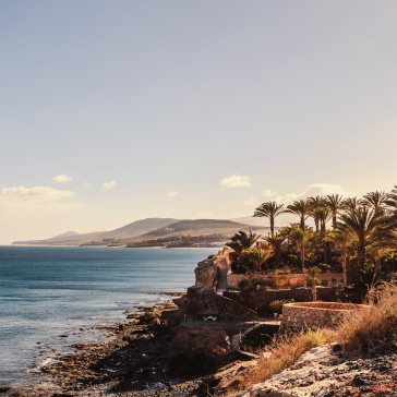 The coast of Fuerteventura, complete with a beach and palm trees.