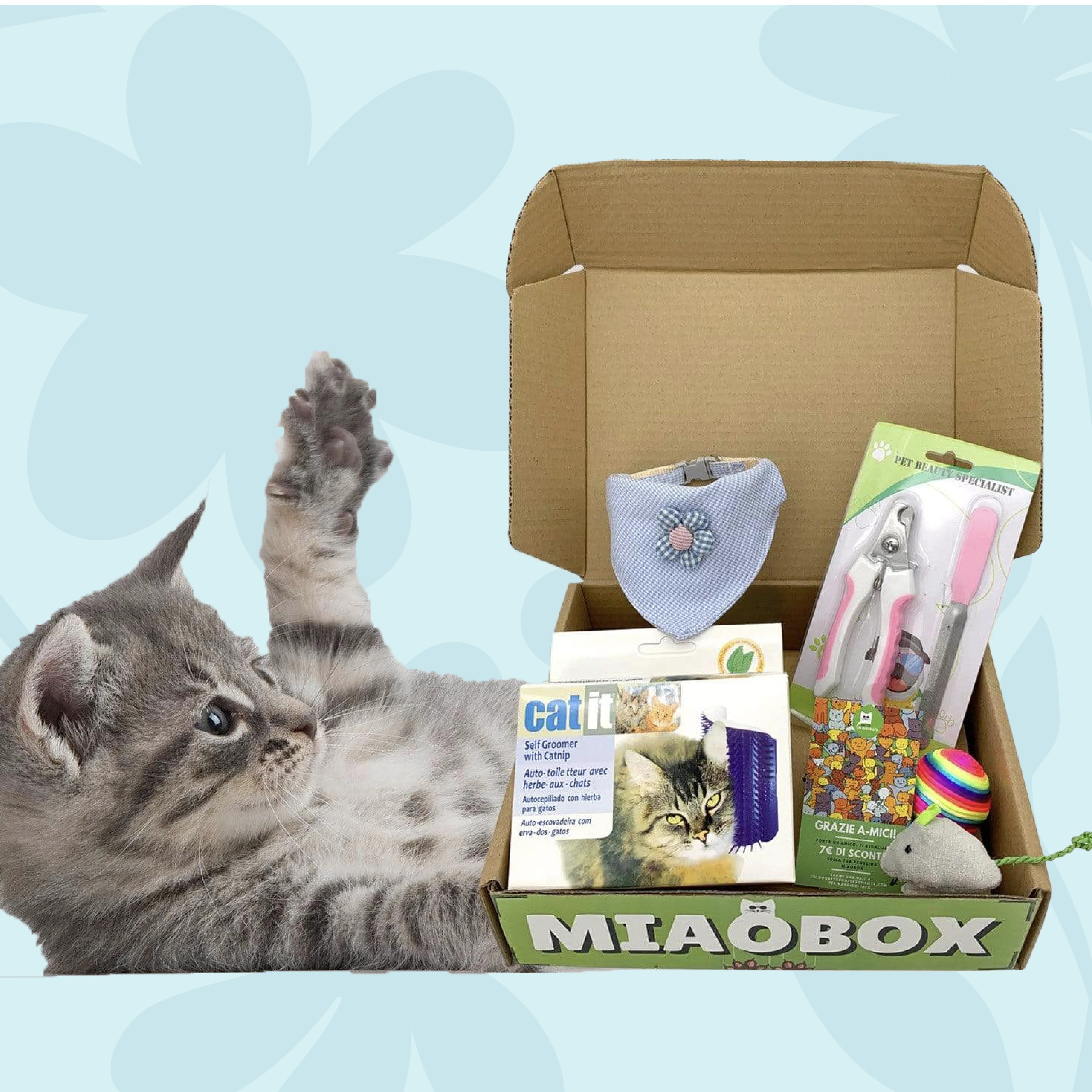 Image of MIAOBOX 2 - Scelta da Beppo