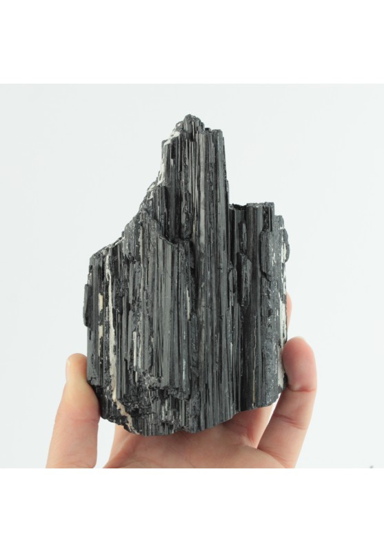 Image of Tormalina Nera Shorlite Grande