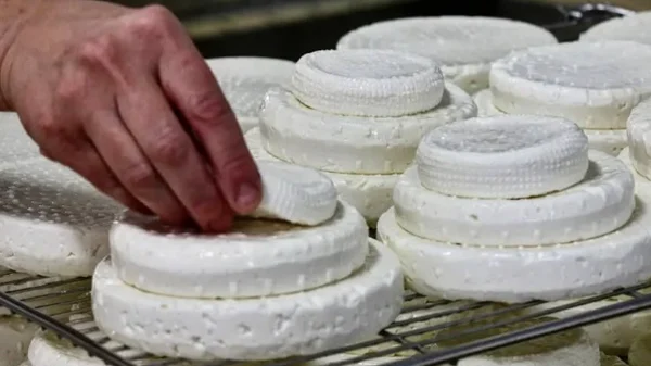 🧀 Montebore Piemontese: 3 curiosità da sapere