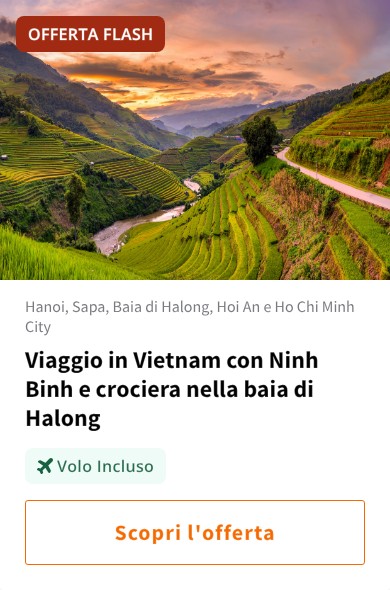 Viaggio in Vietnam con Ninh Binh e crociera nella baia di Halong