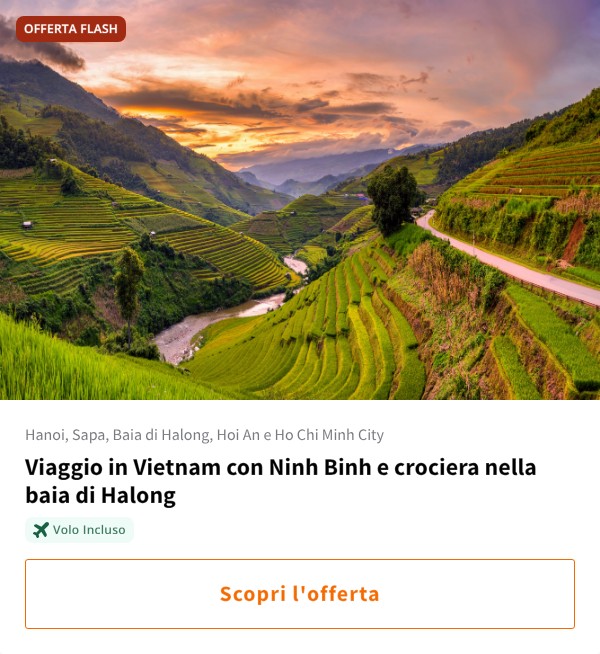 Viaggio in Vietnam con Ninh Binh e crociera nella baia di Halong