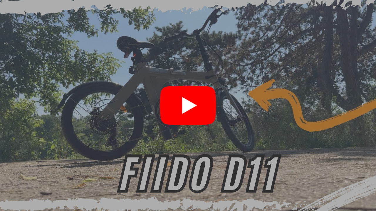 D11 Review
