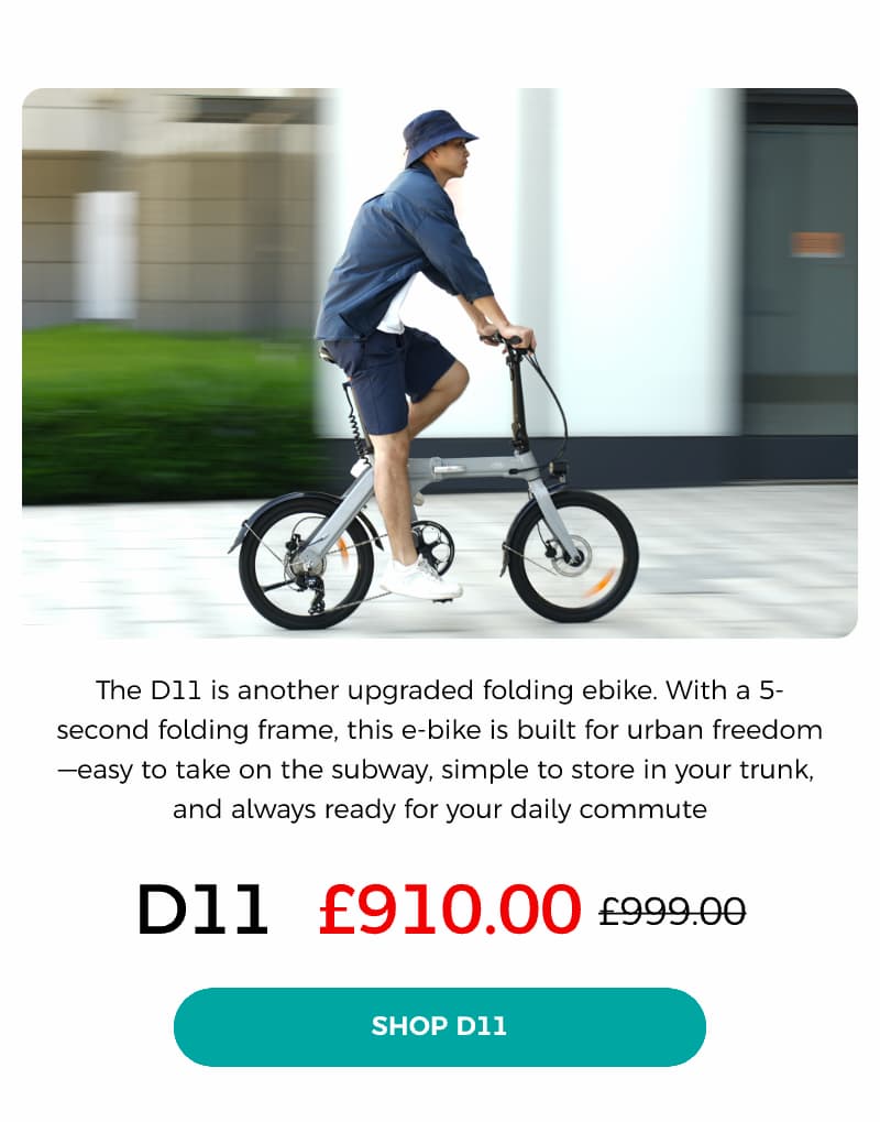D11