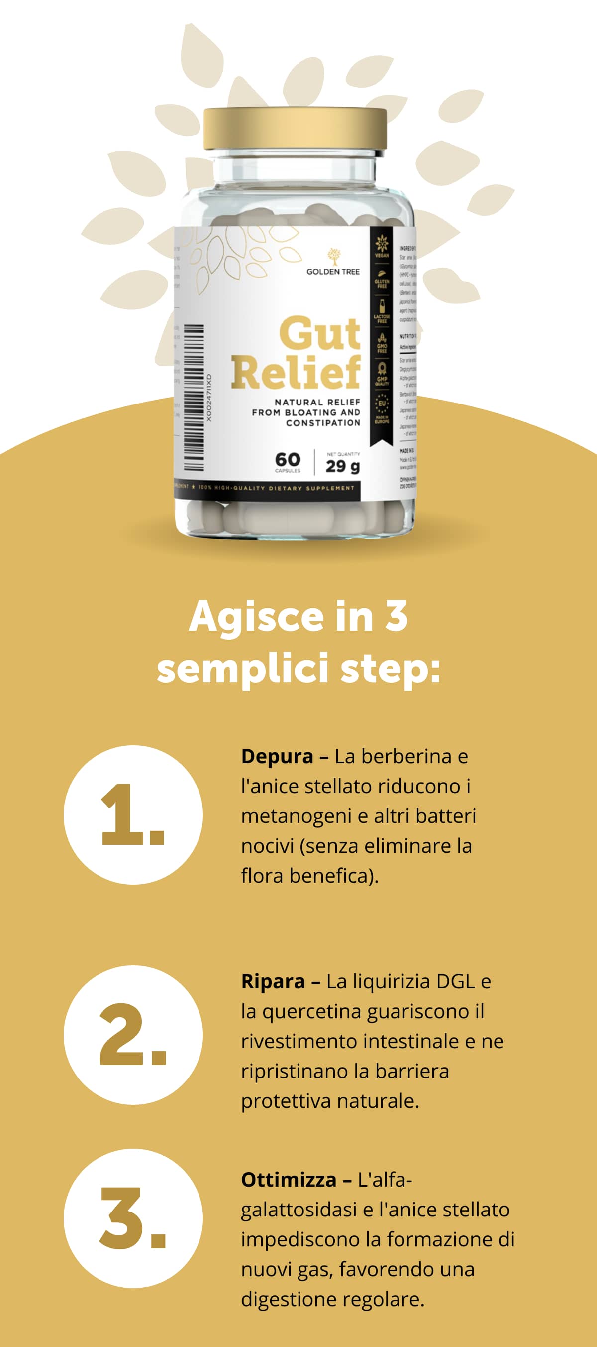 Agisce in 3 semplici step: Depura – La berberina e l'anice stellato riducono i metanogeni e altri batteri nocivi (senza eliminare la flora benefica).   Ripara – La liquirizia DGL e la quercetina guariscono il rivestimento intestinale e ne ripristinano la barriera protettiva naturale.   Ottimizza – L'alfa-galattosidasi e l'anice stellato impediscono la formazione di nuovi gas, favorendo una digestione regolare.