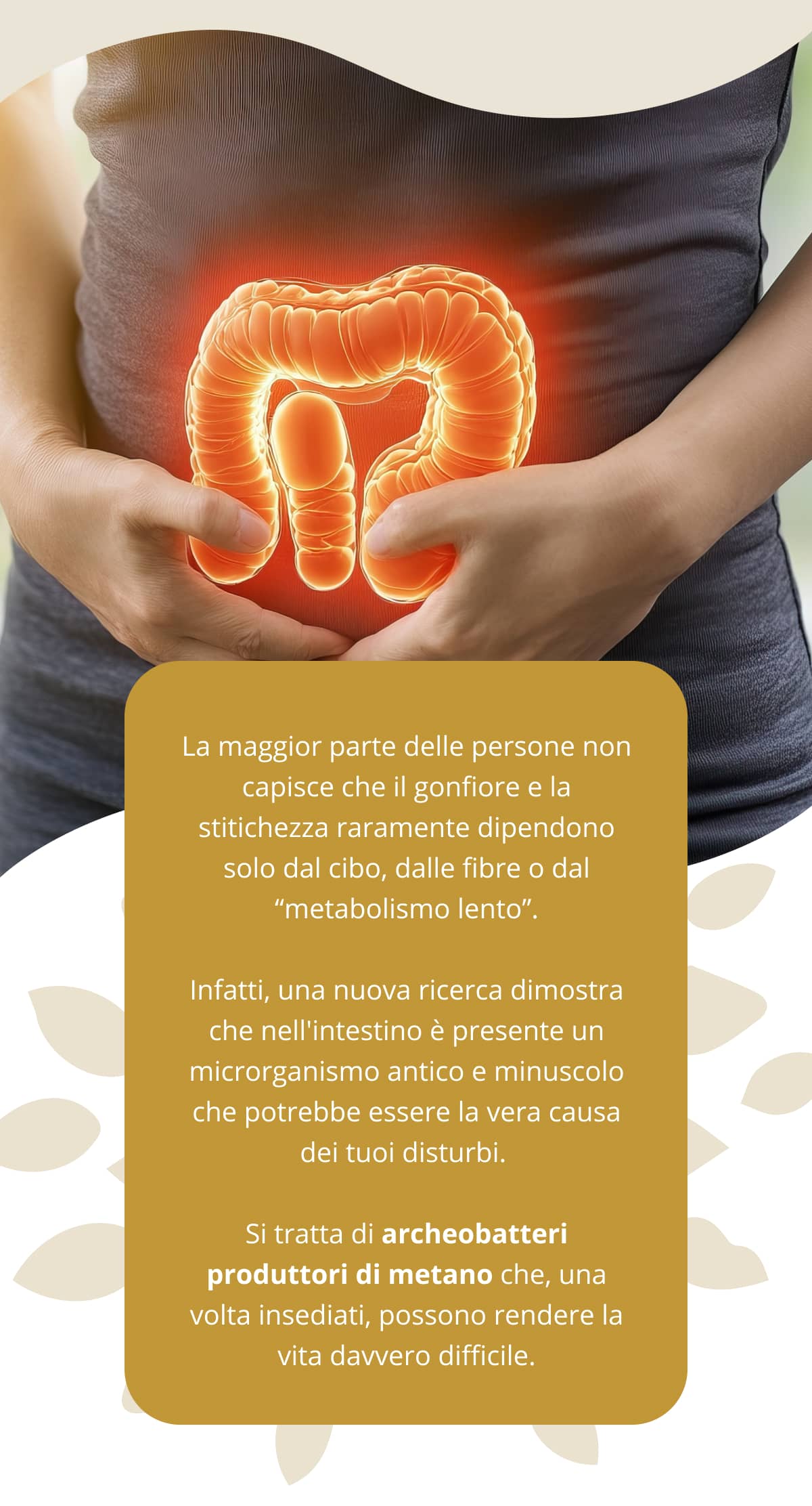 La maggior parte delle persone non capisce che il gonfiore e la stitichezza raramente dipendono solo dal cibo, dalle fibre o dal “metabolismo lento”. Infatti, una nuova ricerca dimostra che nell'intestino è presente un microrganismo antico e minuscolo che potrebbe essere la vera causa dei tuoi disturbi. Si tratta di archeobatteri produttori di metano che, una volta insediati, possono rendere la vita davvero difficile.