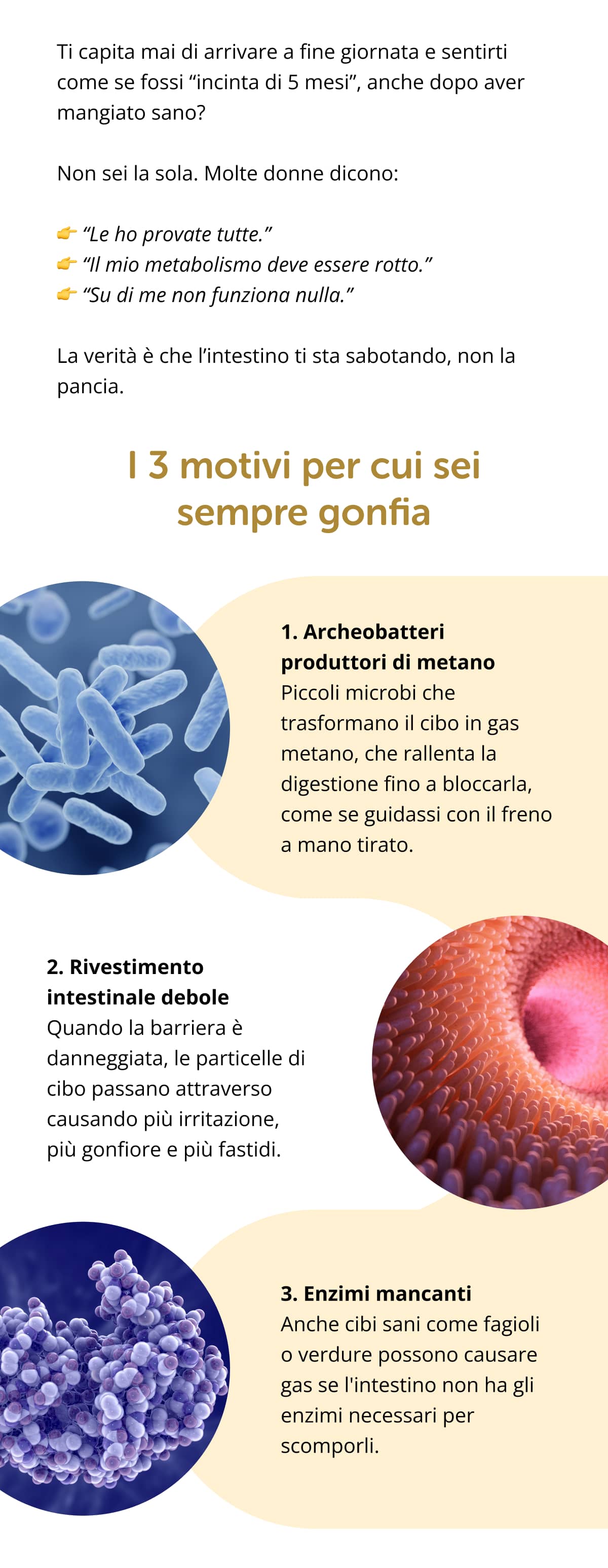Ti capita mai di arrivare a fine giornata e sentirti come se fossi “incinta di 5 mesi”, anche dopo aver mangiato sano? Non sei la sola. Molte donne dicono: 👉 “Le ho provate tutte.” 👉 “Il mio metabolismo deve essere rotto.” 👉 “Su di me non funziona nulla.” La verità è che l’intestino ti sta sabotando, non la pancia.  I 3 motivi per cui sei sempre gonfia 1. Archeobatteri produttori di metano Piccoli microbi che trasformano il cibo in gas metano, che rallenta la digestione fino a bloccarla, come se guidassi con il freno a mano tirato. 2. Rivestimento intestinale debole Quando la barriera è danneggiata, le particelle di cibo passano attraverso causando più irritazione, più gonfiore e più fastidi. 3. Enzimi mancanti Anche cibi sani come fagioli o verdure possono causare gas se l'intestino non ha gli enzimi necessari per scomporli.
