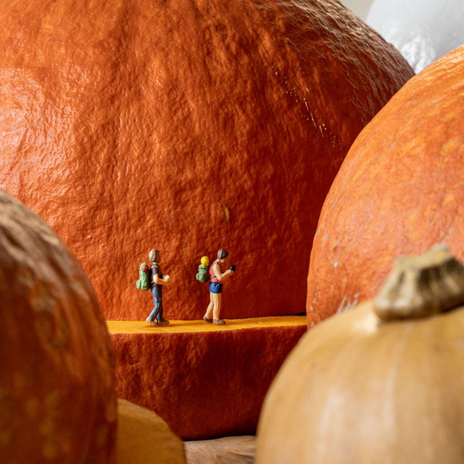 Zucca in cui camminano delle persone piccole
