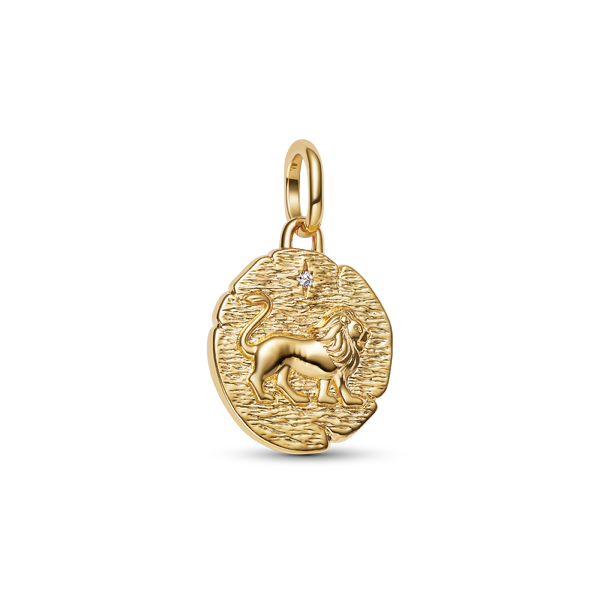 Lion Medallion Charm
