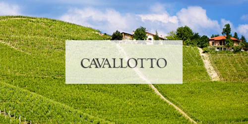 cavallotto