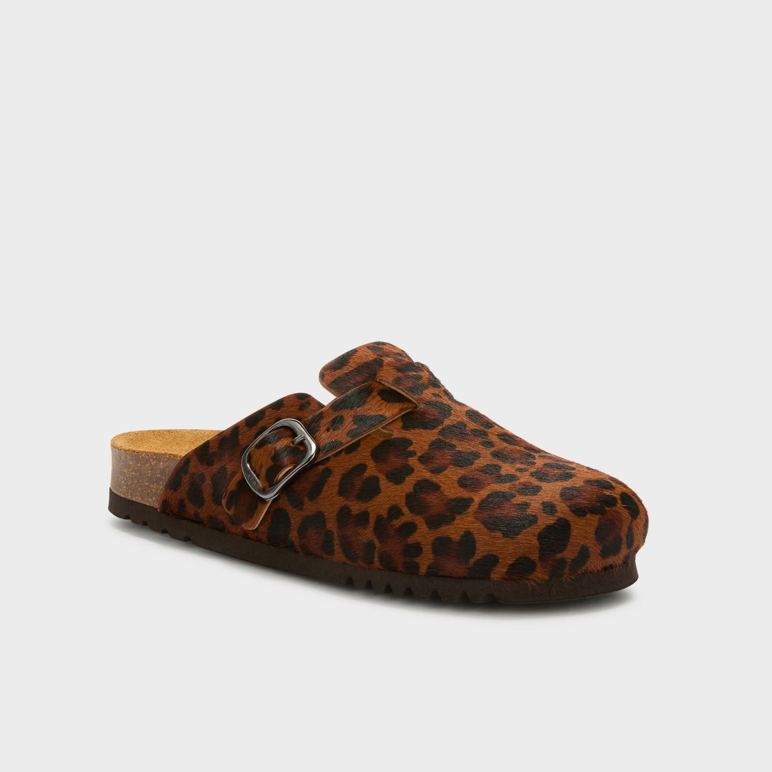 SCHOLL PESCURA