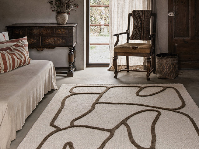 Rustic rug in a living room