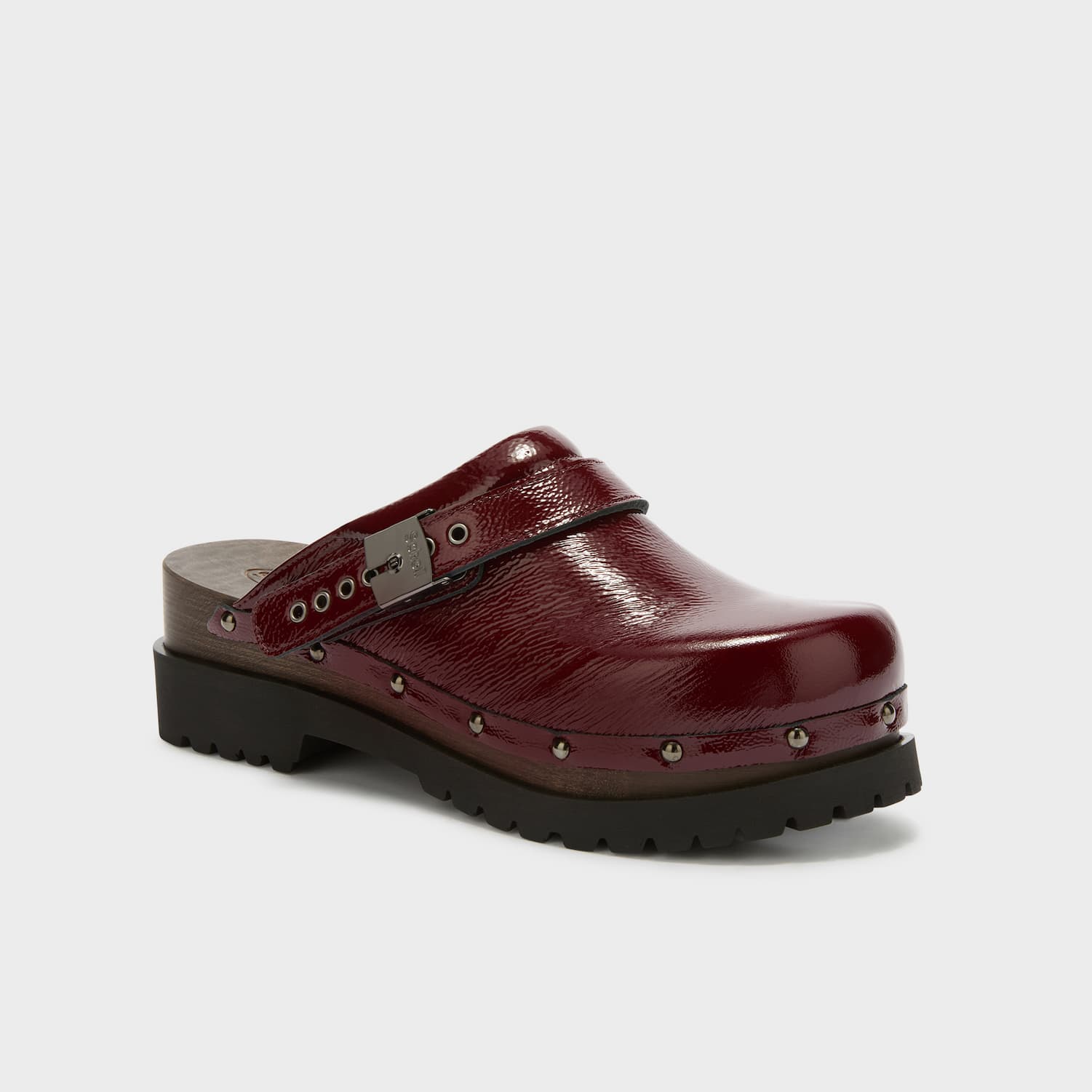 SCHOLL JANE