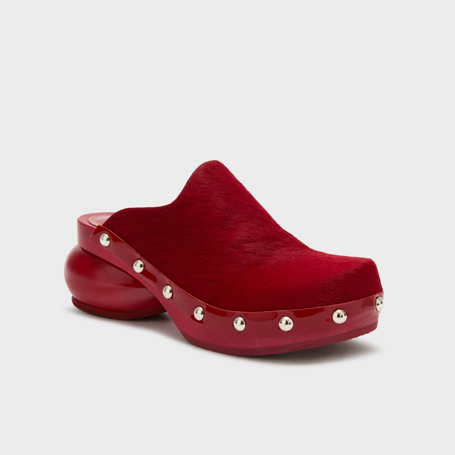 SCHOLL JANE