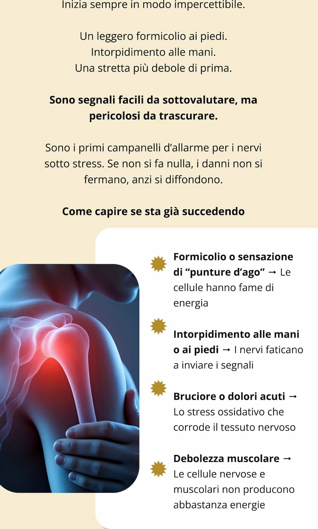 Inizia sempre in modo impercettibile. Un leggero formicolio ai piedi. Intorpidimento alle mani. Una stretta più debole di prima. Sono segnali facili da sottovalutare, ma pericolosi da trascurare. Sono i primi campanelli d’allarme per i nervi sotto stress. Se non si fa nulla, i danni non si fermano, anzi si diffondono. Come capire se sta già succedendo Formicolio o sensazione di “punture d’ago” → Le cellule hanno fame di energia Intorpidimento alle mani o ai piedi → I nervi faticano a inviare i segnali Bruciore o dolori acuti → Lo stress ossidativo che corrode il tessuto nervoso Debolezza muscolare → Le cellule nervose e muscolari non producono abbastanza energie