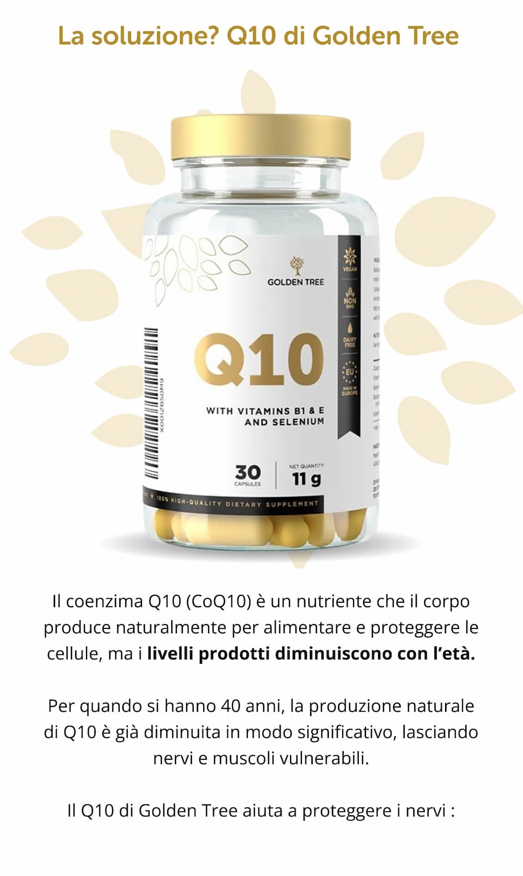 La soluzione? Q10 di Golden Tree  Il coenzima Q10 (CoQ10) è un nutriente che il corpo produce naturalmente per alimentare e proteggere le cellule, ma i livelli prodotti diminuiscono con l’età. Per quando si hanno 40 anni, la produzione naturale di Q10 è già diminuita in modo significativo, lasciando nervi e muscoli vulnerabili. Il Q10 di Golden Tree aiuta a proteggere i nervi :