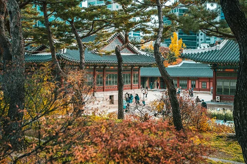 Qualcuno ha detto Corea? Ecco come e quando prenotare il viaggio