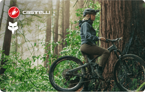Fox & Castelli