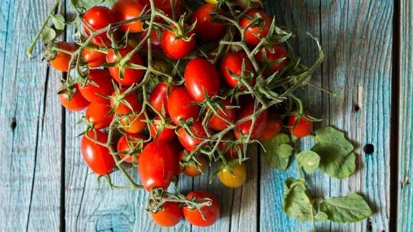 🍅 La Campania in tavola