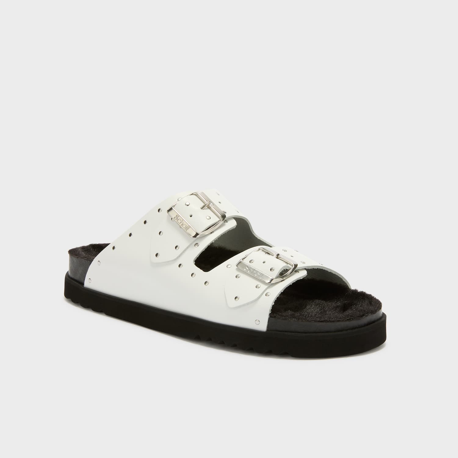 SCHOLL PESCURA