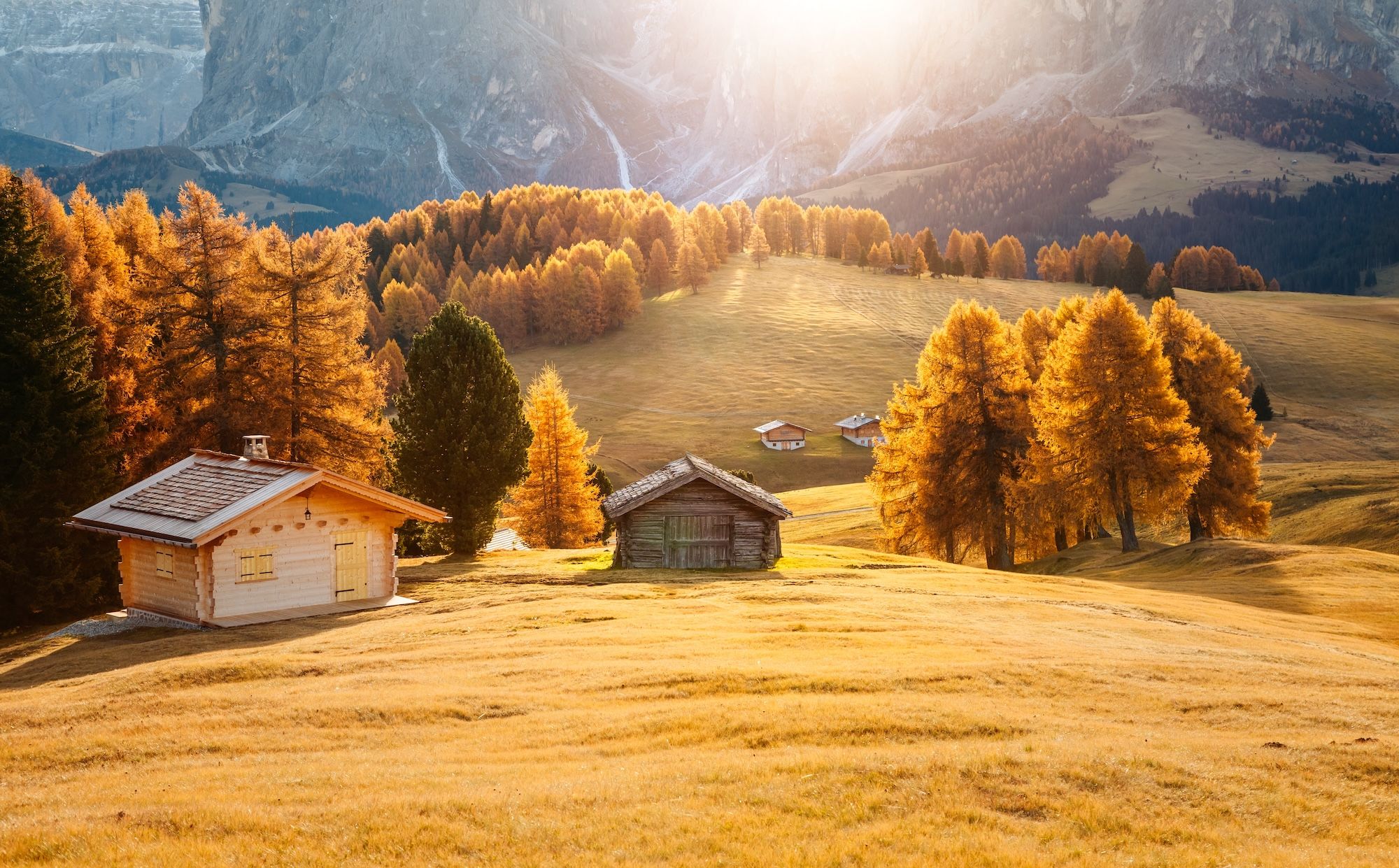 Dove ammirare il foliage in Italia nel 2025