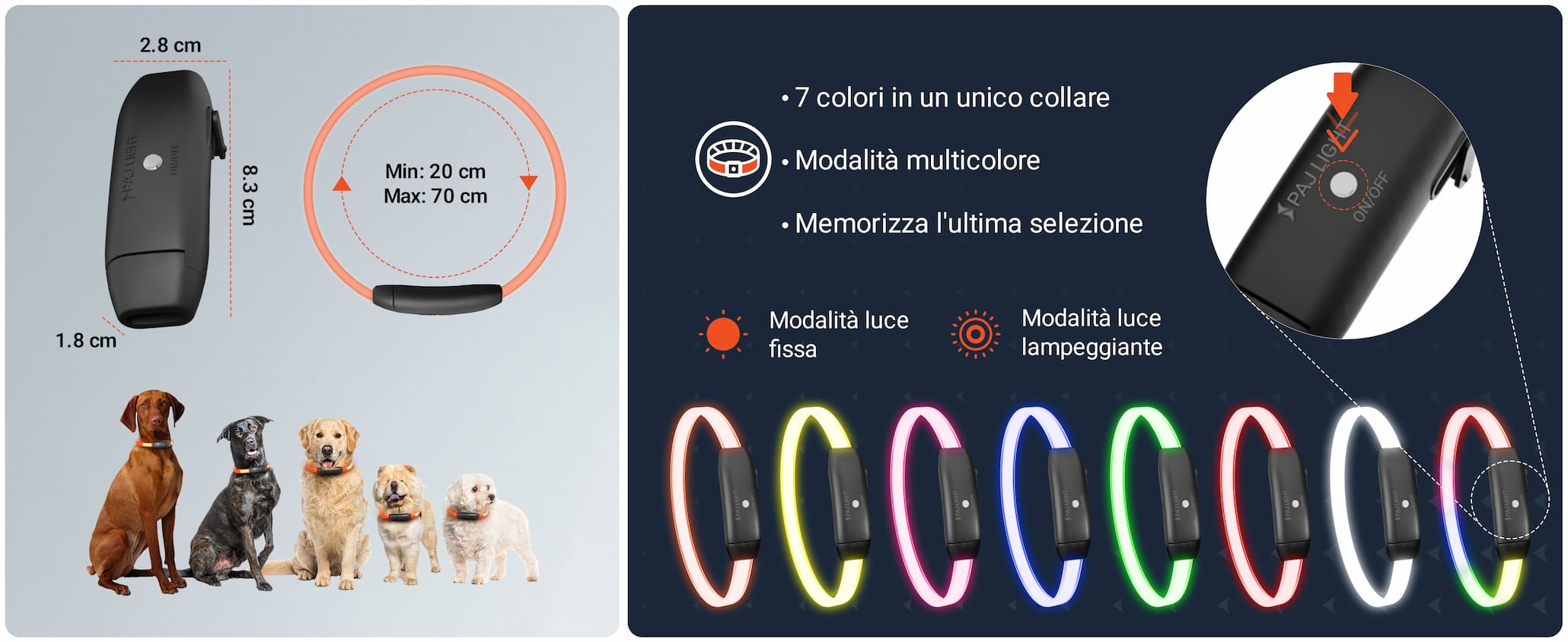 Caratteristiche del prodotto 