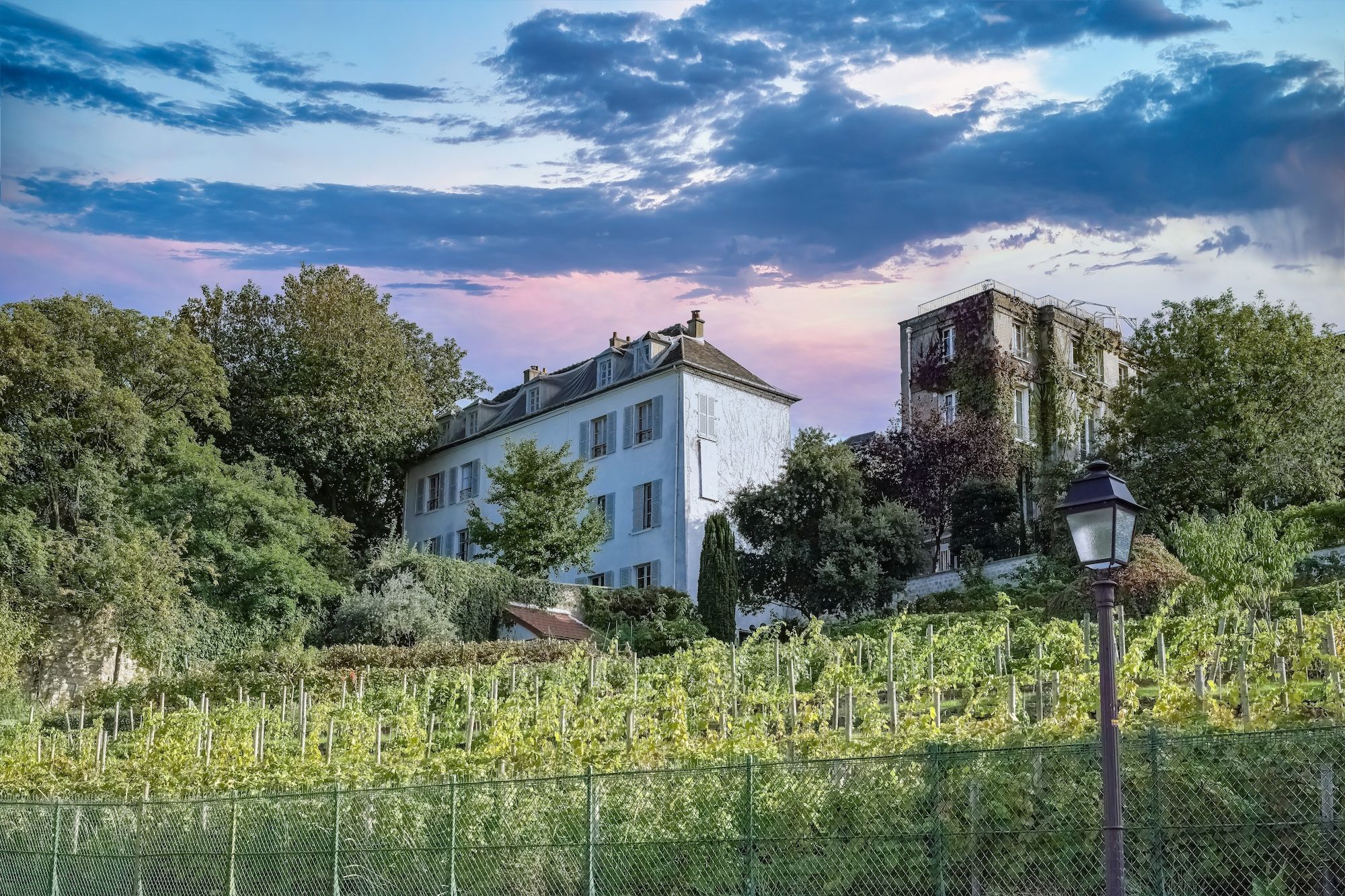 Torna la Fête des vendanges: la vendemmia di Montmartre