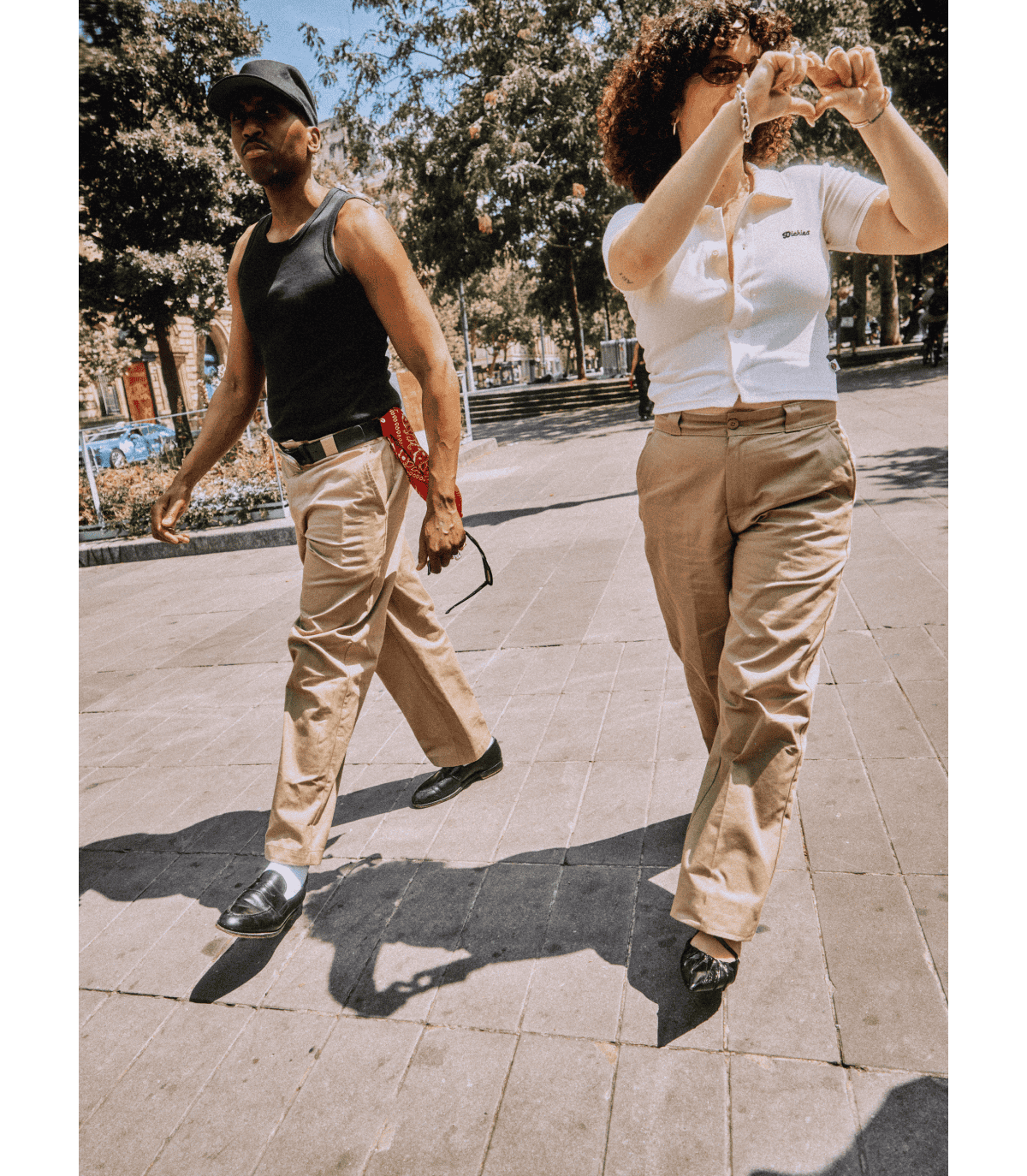 DICKIES - 247
