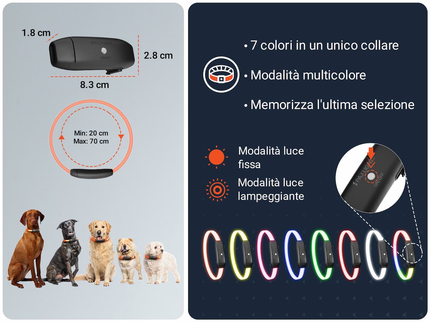 Caratteristiche del prodotto 