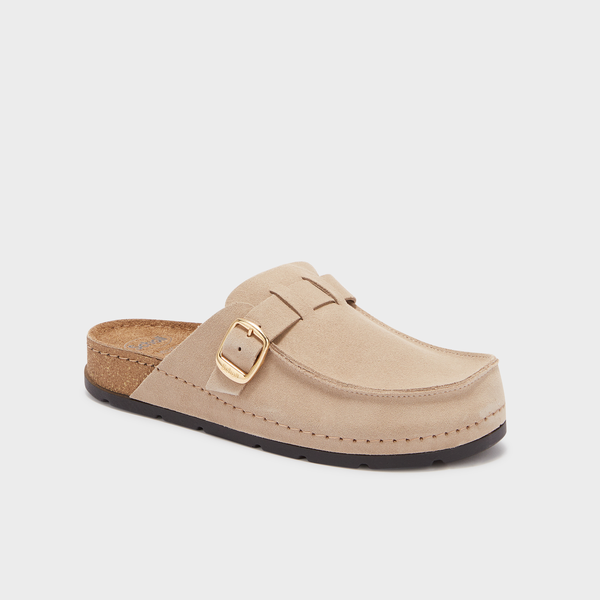 SCHOLL JANE