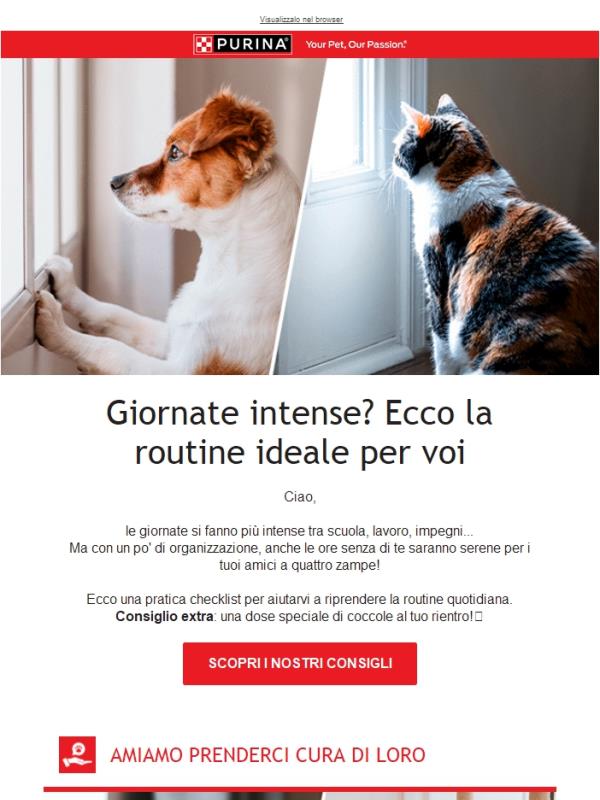 La routine che fa felice i tuoi pet mentre non ci sei 🐾