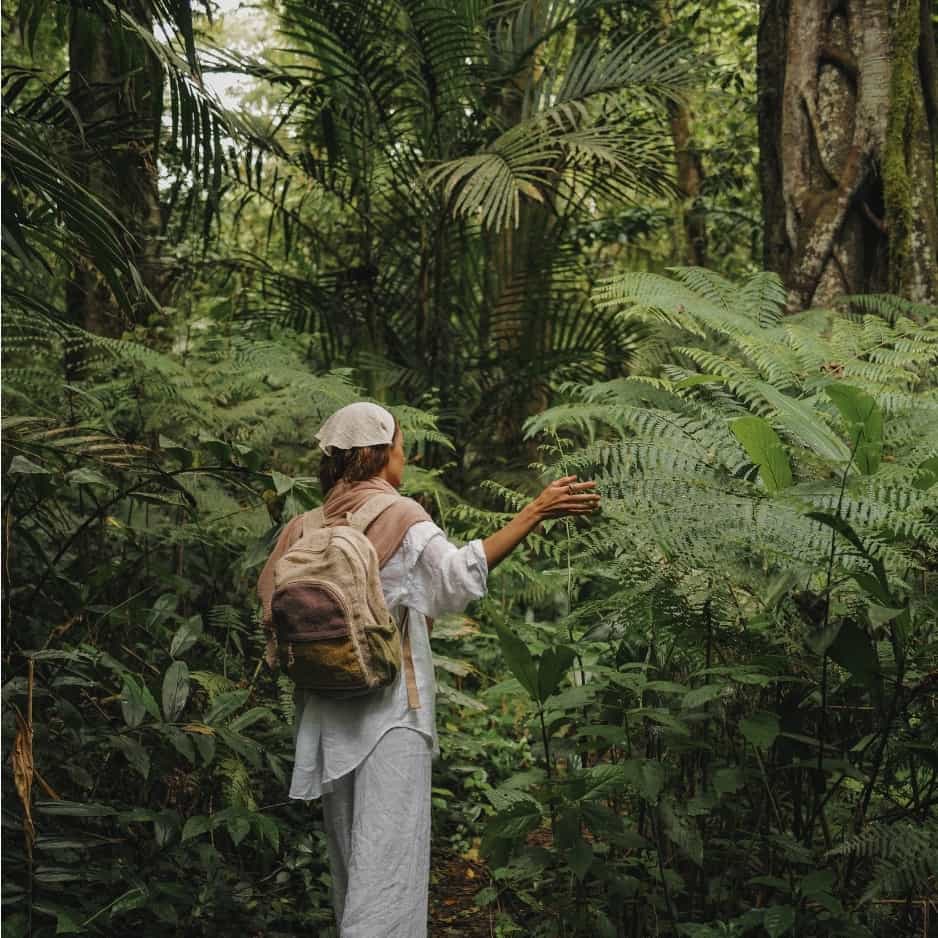 Viaggi Safari