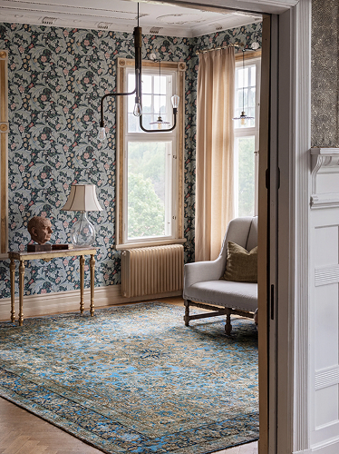 Classic unique rug in a living room