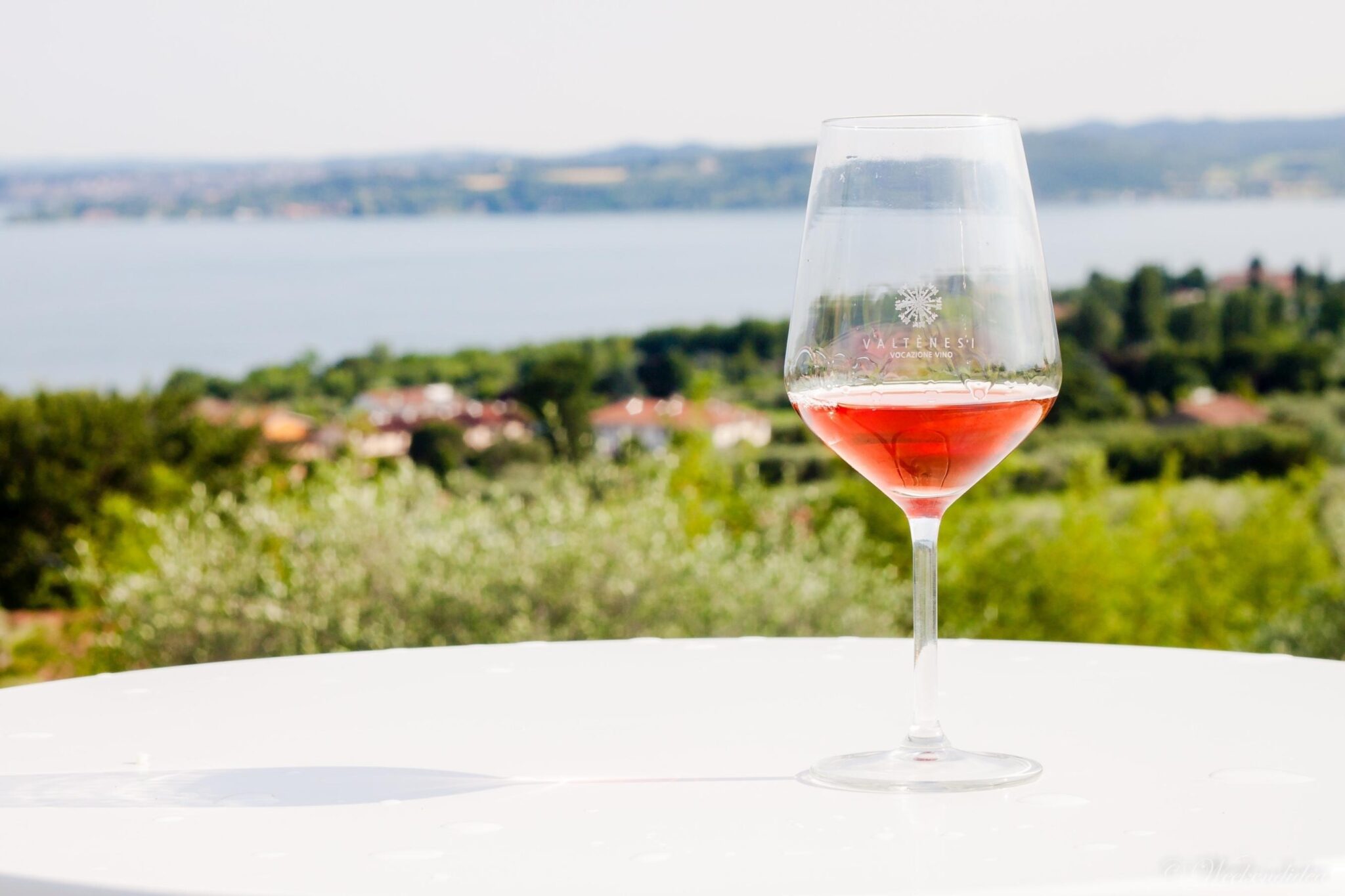 Fra le vigne (e gli ulivi) del Garda