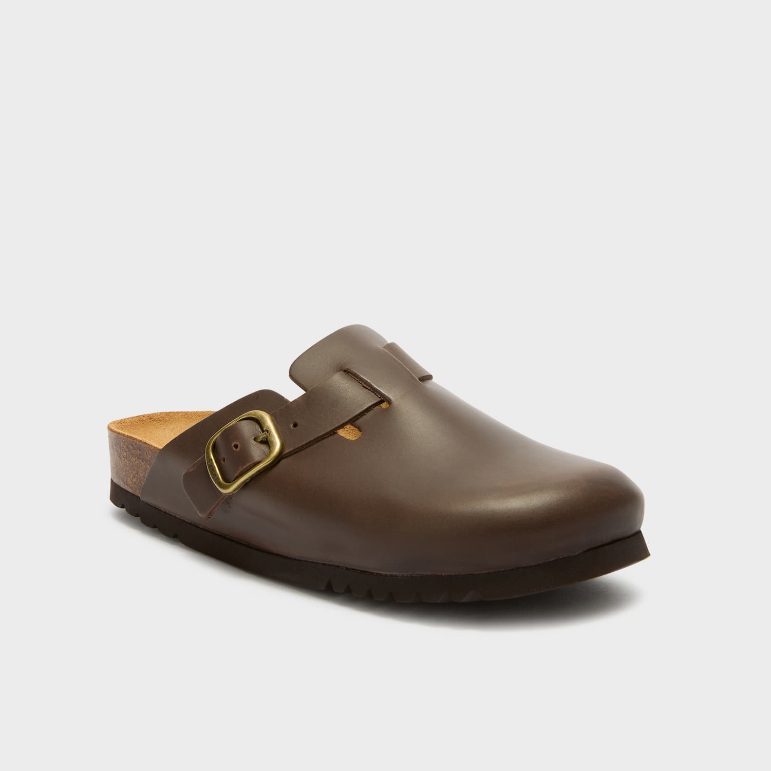 SCHOLL JANE