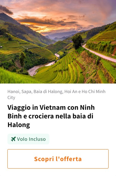 Viaggio in Vietnam con Ninh Binh e crociera nella baia di Halong