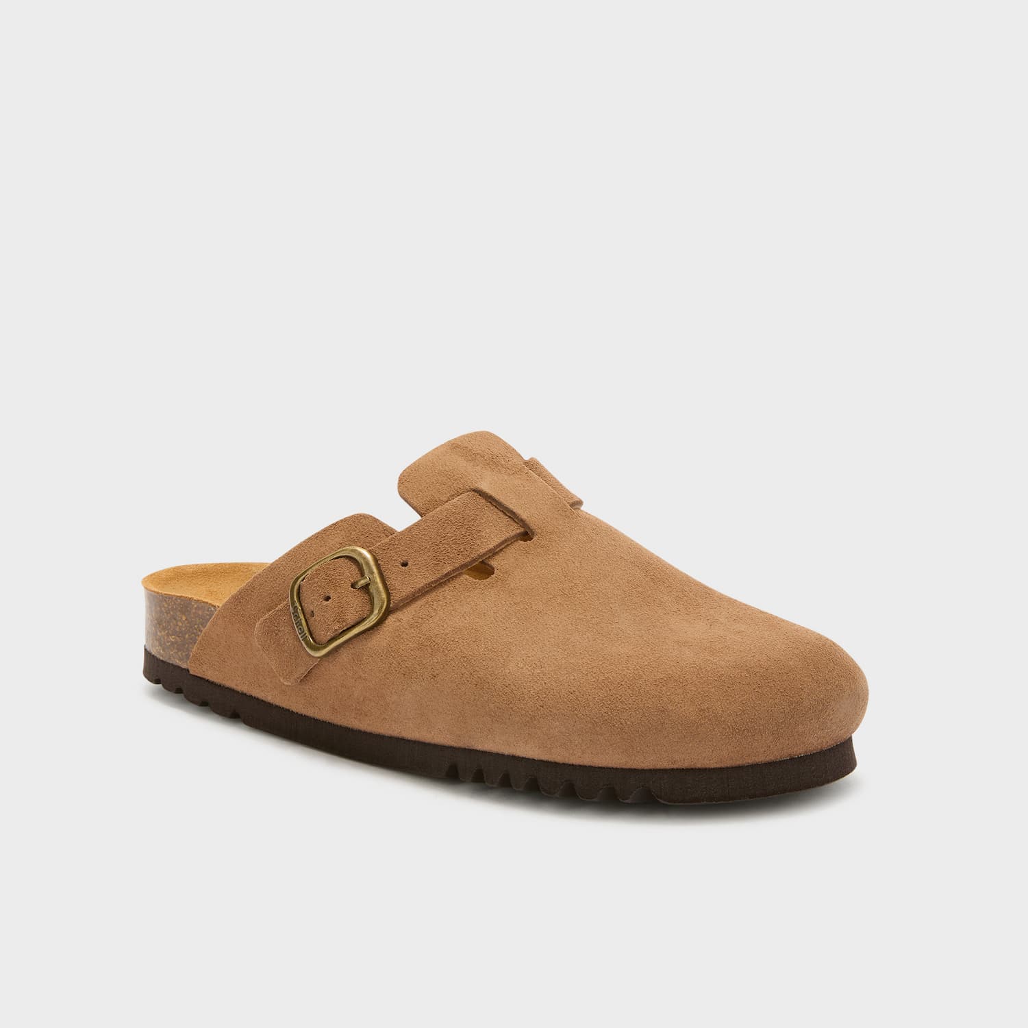 SCHOLL JANE