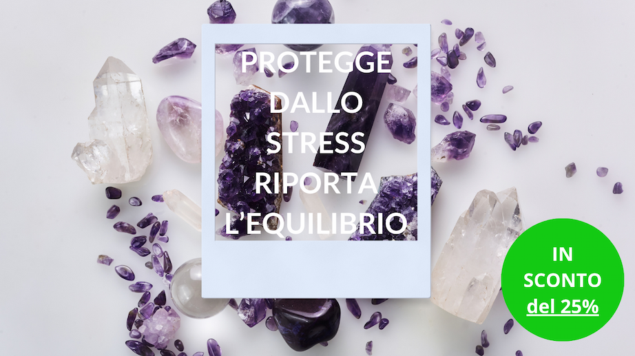 banner-principale