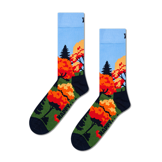 Autumn Sock