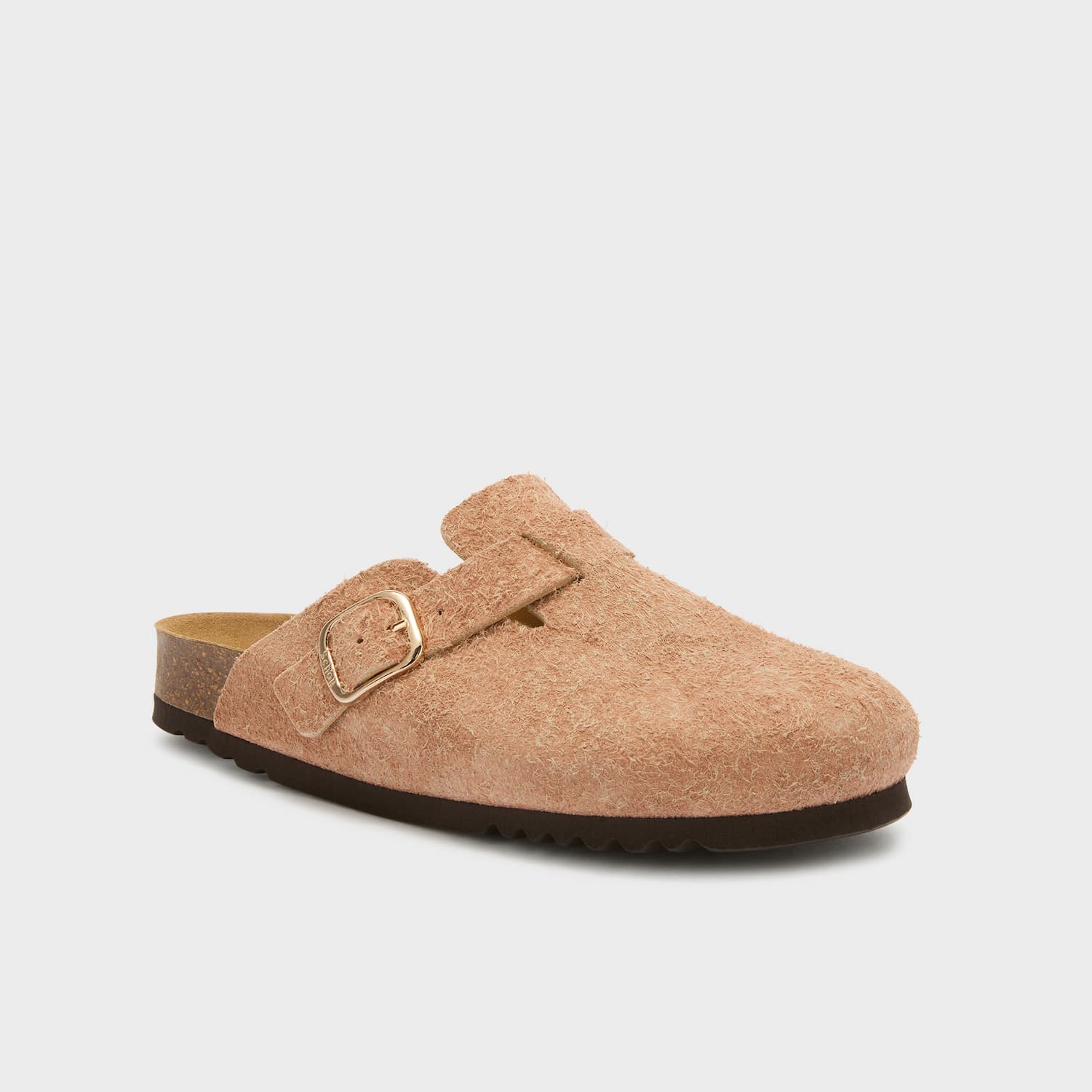 SCHOLL JANE