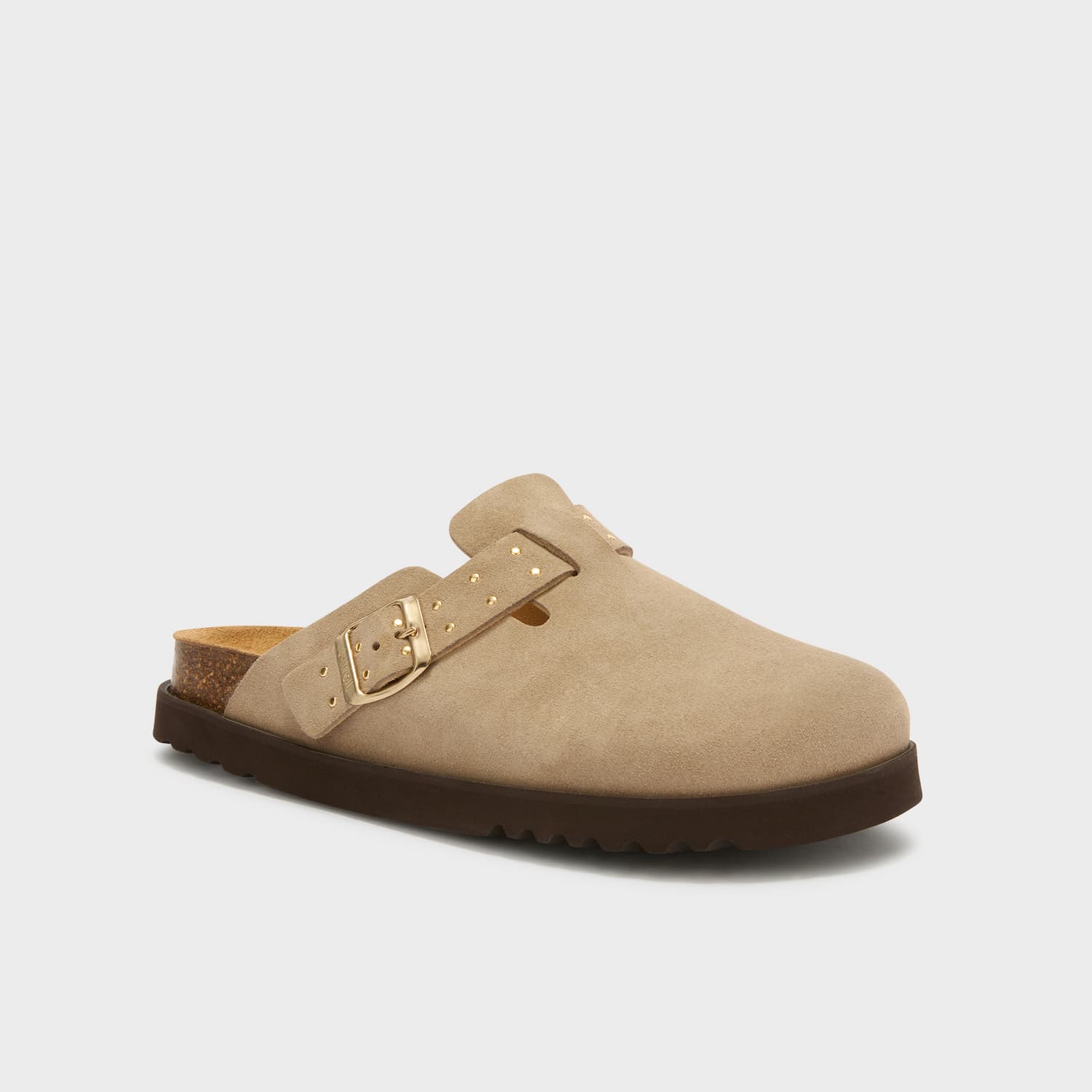 SCHOLL JANE