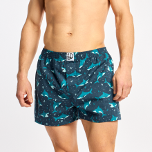  Boxer