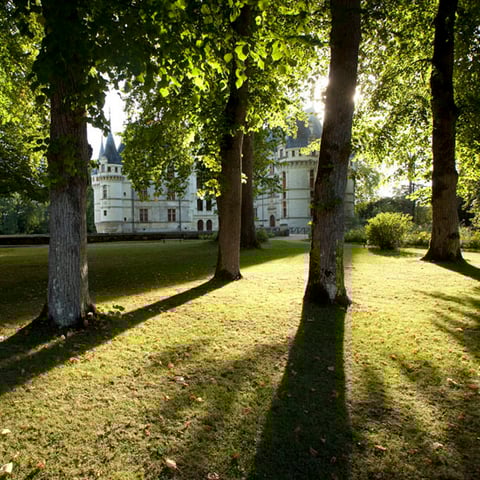 Activity image: Castello di Azay-le-Rideau Biglietto d'ingresso