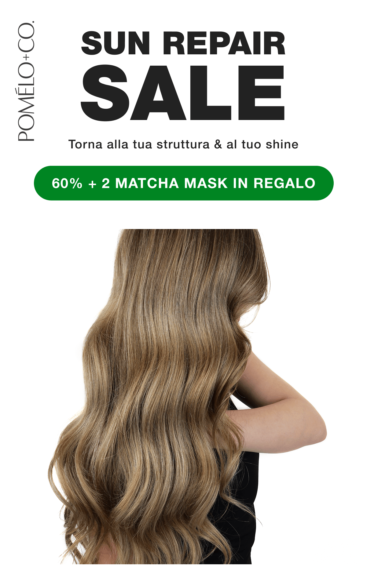 SUN REPAIR SALE