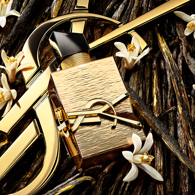 Una bottiglia di profumo YSL rettangolare dorata, adornata con il logo YSL, poggia su un grande logo YSL dorato. Intorno alla bottiglia ci sono piccoli fiori bianchi e baccelli di vaniglia scuri, creando una composizione ricca ed elegante.