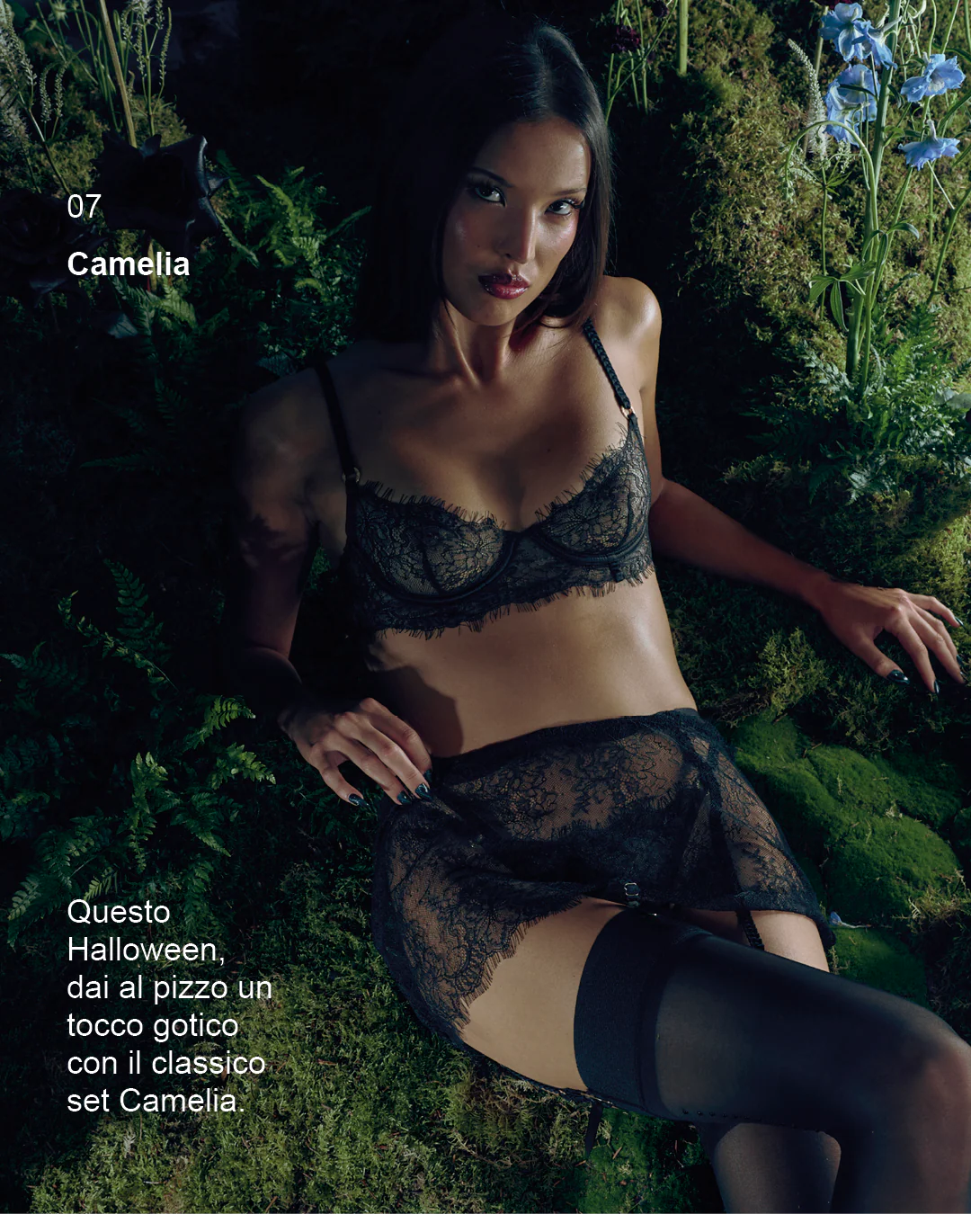 Camelia Set