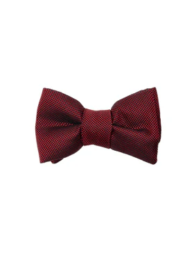 Papillon Bordeaux in Seta Tom Ford